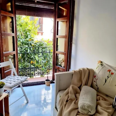 Hostfy Mercado De Triana شقة